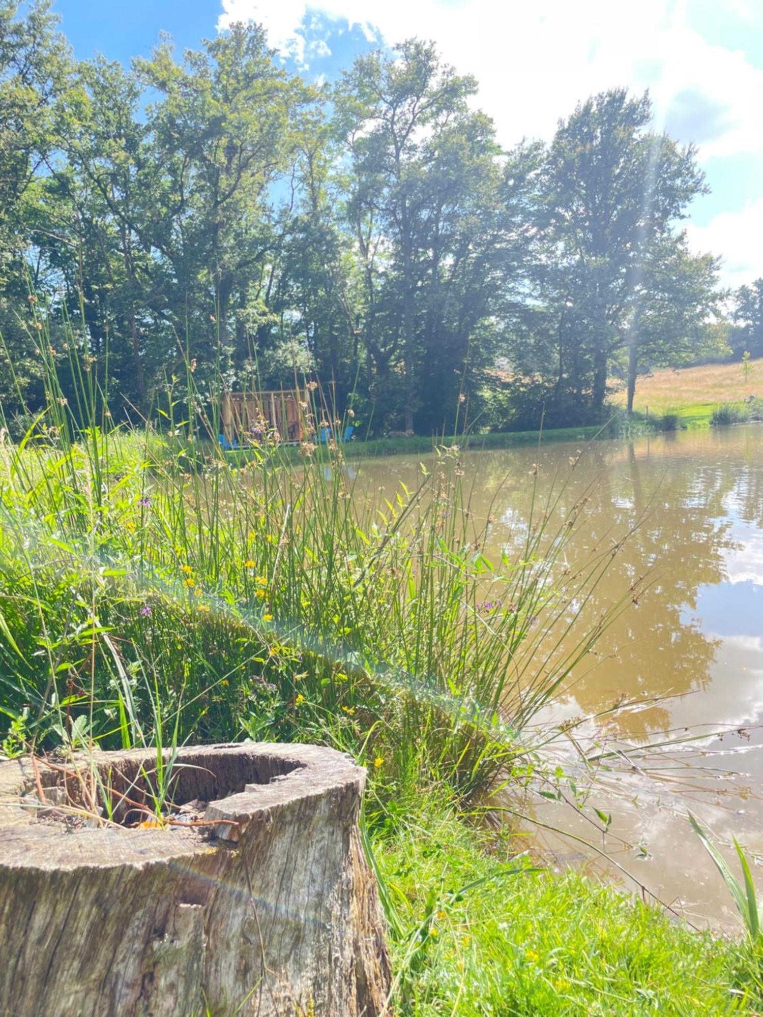 Gite Neuf Avec Jardin, Foret Et Etang Argenton Sur Creuse Eksteriør bilde